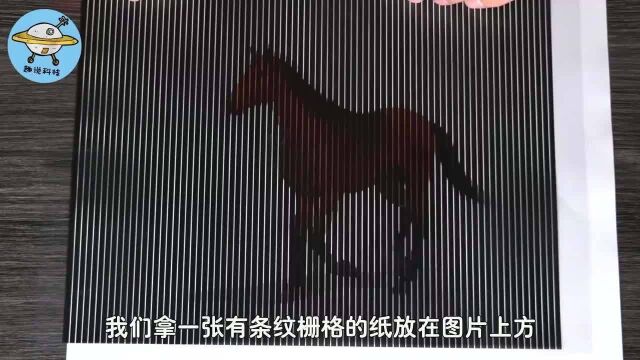 难得一见的实验, 把栅格纸放在画像上后, 你还相信自己的眼睛吗