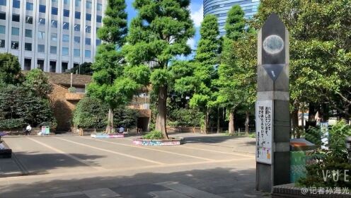 一个还没我们小区广场大的中央公园#东京奥运会