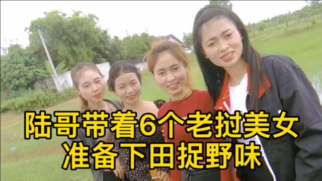 NO.50陆哥带着6个老挝丰沙里美女准备下田捉野味,她们漂亮丰满诱惑力十足.