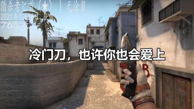 csgo饰品 猎杀者匕首19种系列大全