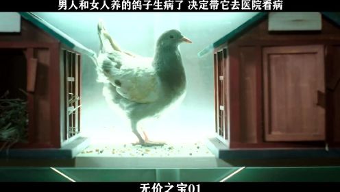 无价之宝-01，男人和女人养的鸽子生病了 决定带它去医院看病