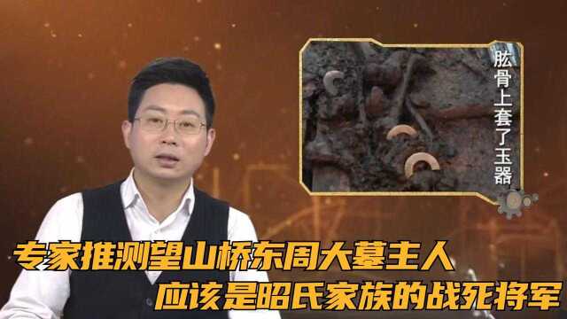 专家推测望山桥东周大墓主人,应该是昭氏家族的战死将军