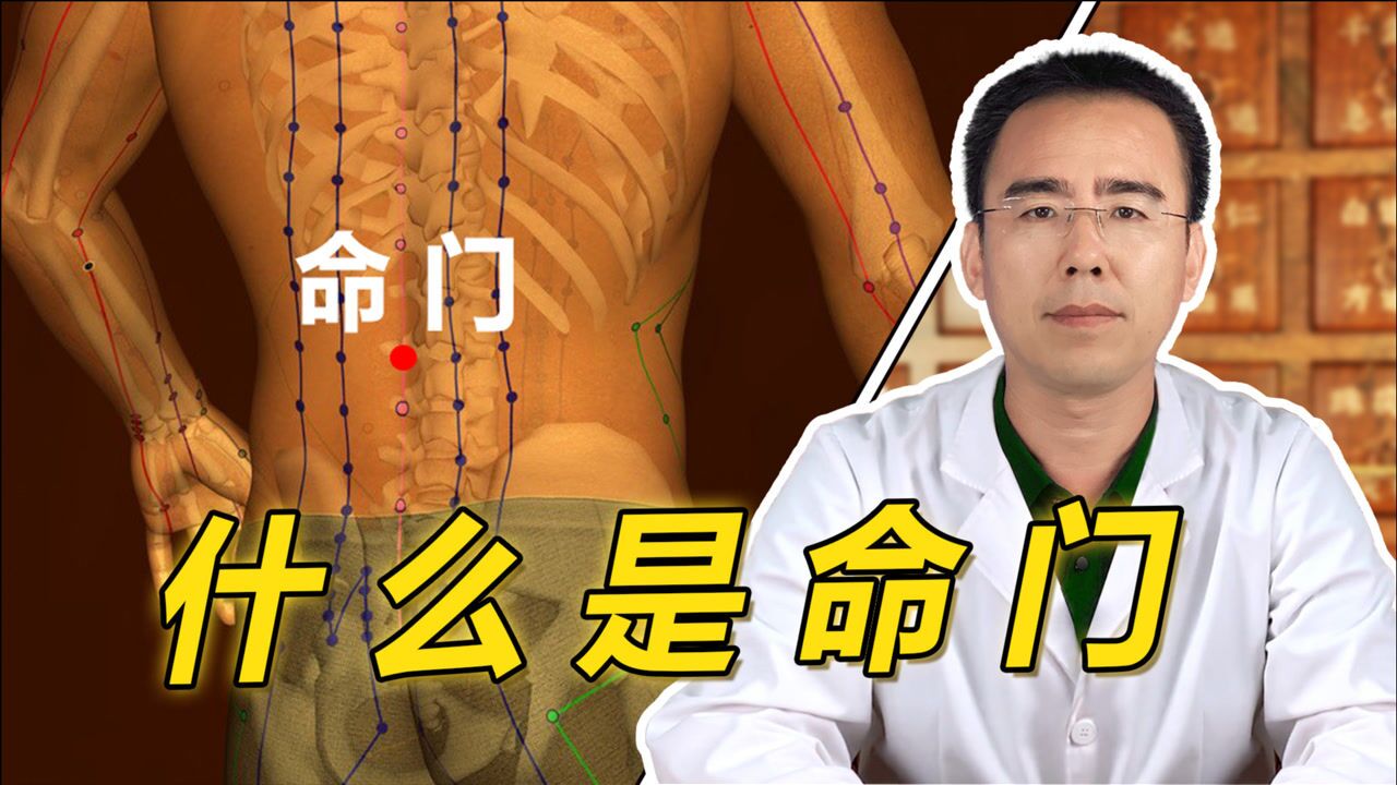 什么是命门穴?命门的功能与作用有哪些?中医2分钟详细讲解_高清1080P在线观看平台_腾讯视频