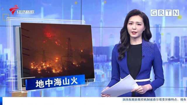 地中海沿岸山火肆虐 古奥林匹亚遗址受威胁