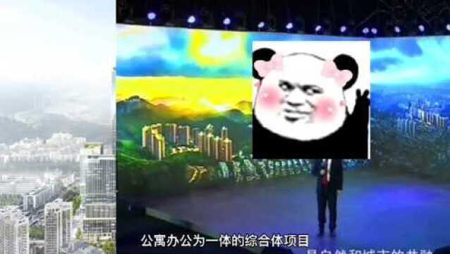 深圳罗湖中洲坊创意中心的公寓是一个什么样的物业?