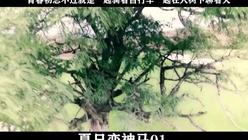 夏日恋神马-01，青春初恋不过就是一起骑着自行车一起在大树下聊着天
