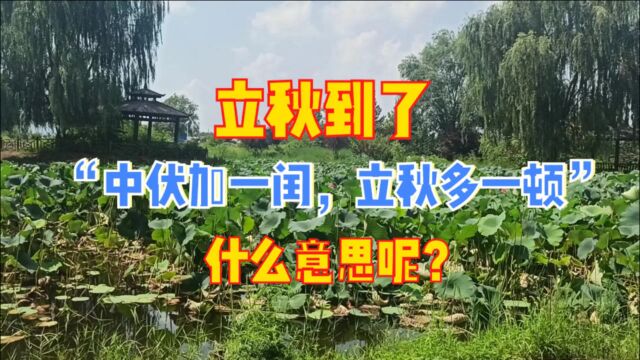 立秋到了,俗语:中伏加一闰,立秋多一顿,你知道什么意思吗?