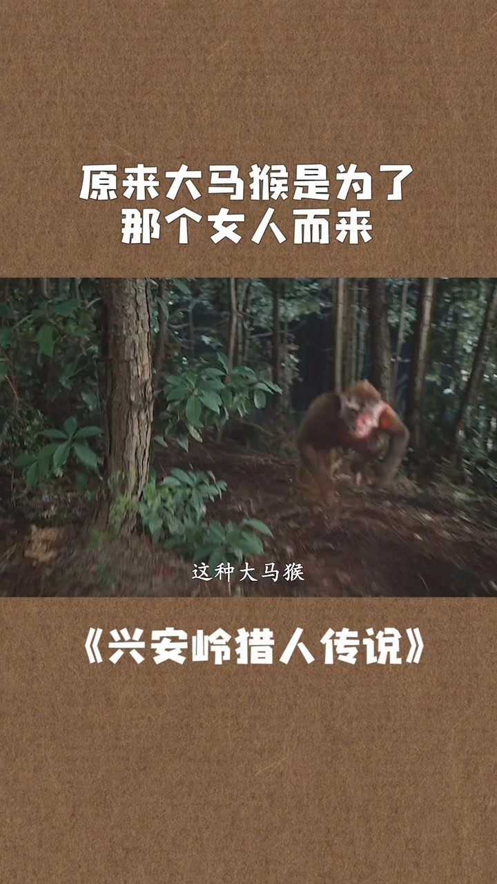 大马猴是因为看到了那一幕才把这里闹得不安生正义的化身电影兴安岭