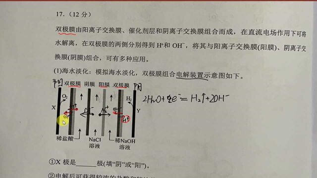 2021高三电化学 二氧化硫吸收液再生,双极膜