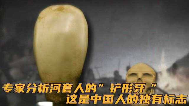 专家分析河套人的”铲形牙“,这是中国人的独有标志