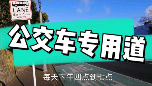 公交车专用车道慎入,后果很严重,罚款很肉痛公交专道