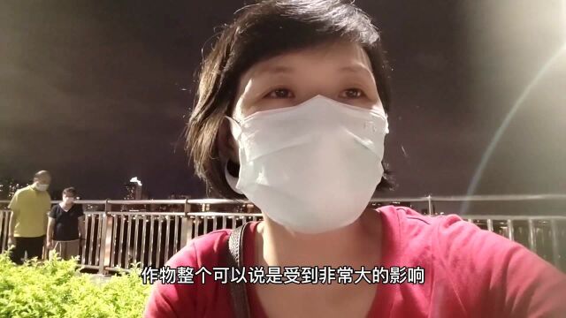 台湾高雄传来让人担忧的坏消息!拜托大家帮高雄民代集气加油!