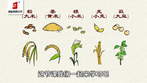 第9集.五谷杂粮里的五谷是什么?_高清1080P在线观看平台_腾讯视频