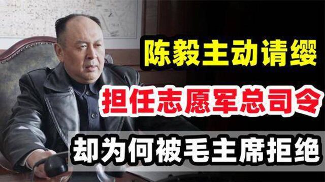 陈毅主动请缨担任志愿军总司令,却被毛主席拒绝,这是为何