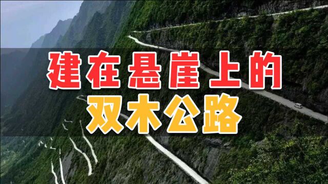 悬崖上的双木公路,犹如一条“架在云端上的天路”,你们见过没有