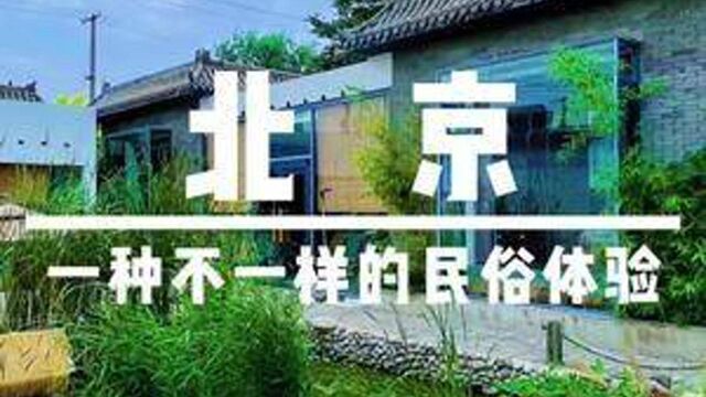 京郊小院适合带娃游玩#住进风景里 #暑期神游记 #向往的民宿