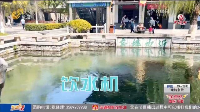 五龙潭泉群复涌满“18岁”!旧貌换新颜,带你看镜头下的泉水变迁