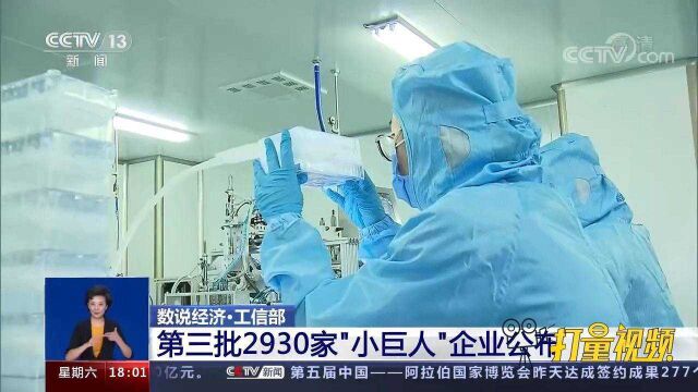 2930家!工信部公示第三批专精特新“小巨人”企业名单