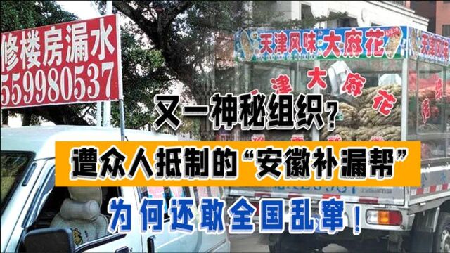 又一神秘组织?遭众人抵制的“安徽补漏帮”,为何还敢全国乱窜!