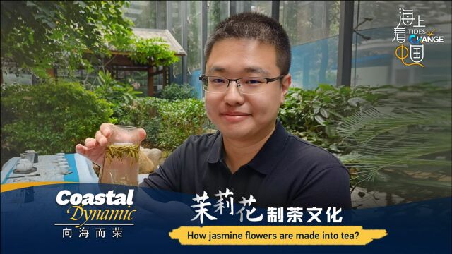 向海而荣:茉莉花制茶文化