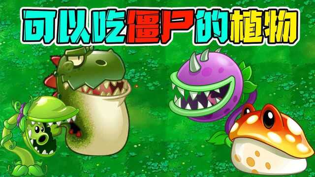 植物大战僵尸:盘点植物里面可以一口吞下僵尸的植物!