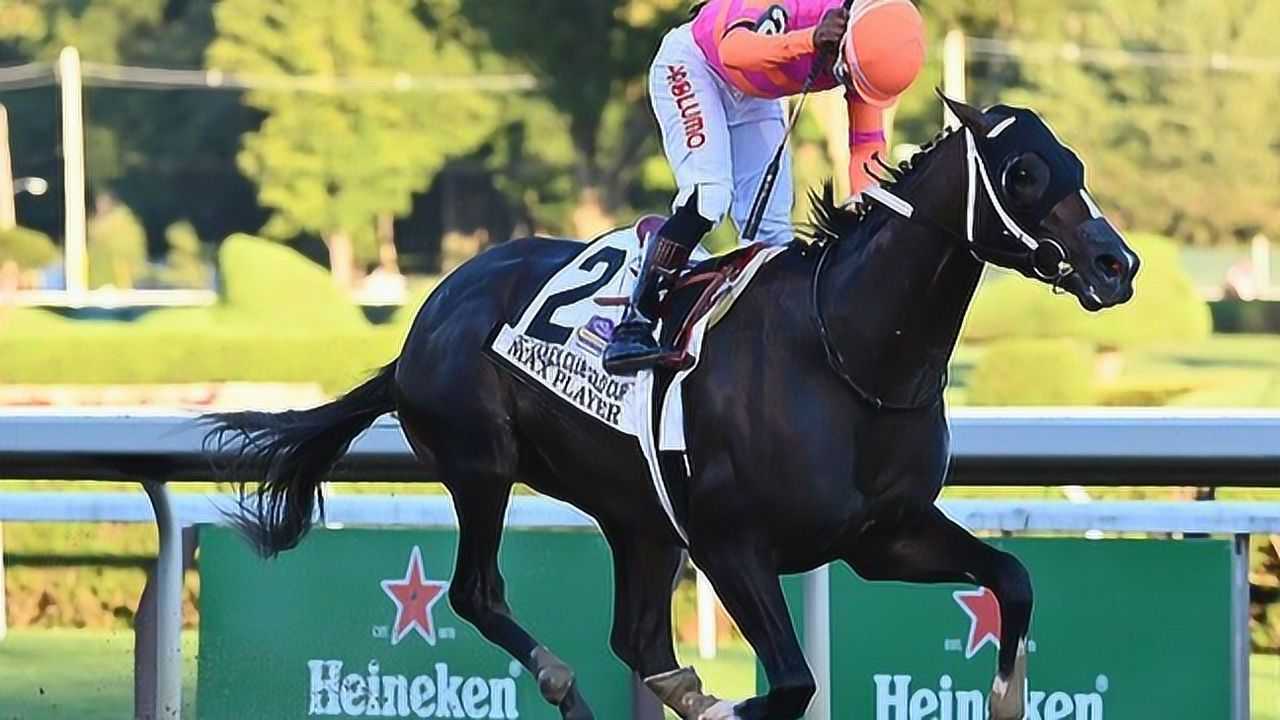 2021 美国赛马会金杯锦标赛 max player