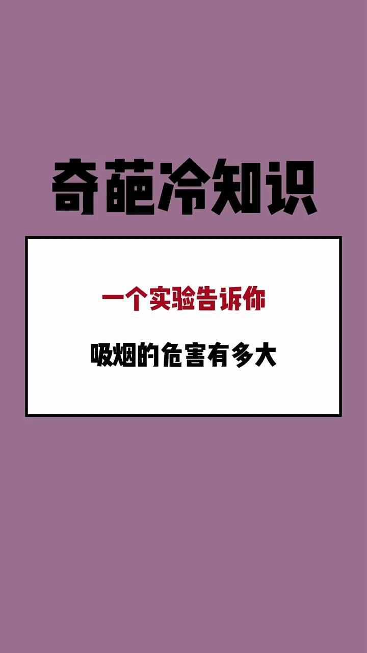 一个实验告诉你，吸烟的危害有多大_高清