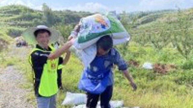 渝北打造南北大道景观产业水果带 这个美丽乡村明年凤凰李将大面积首次挂果