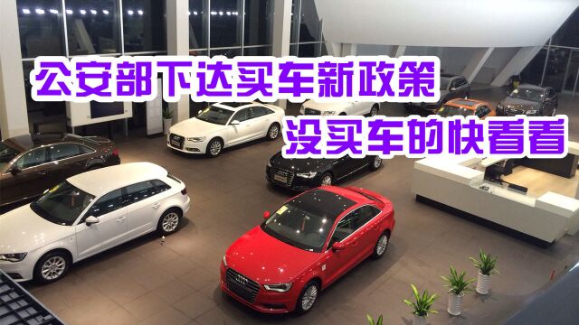 公安部门下达买车新政策,9月份开始实施?还没买车的笑了