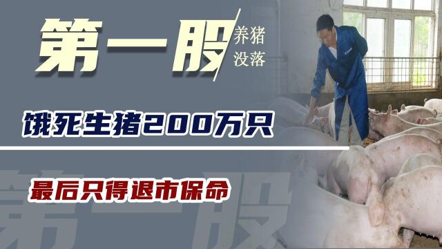 “养猪第一股”没落,饿死生猪200万只,最后只得退市保命