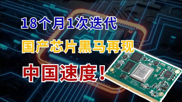 18个月1次迭代,2款芯片100%成功流片,国产芯片黑马大放异彩