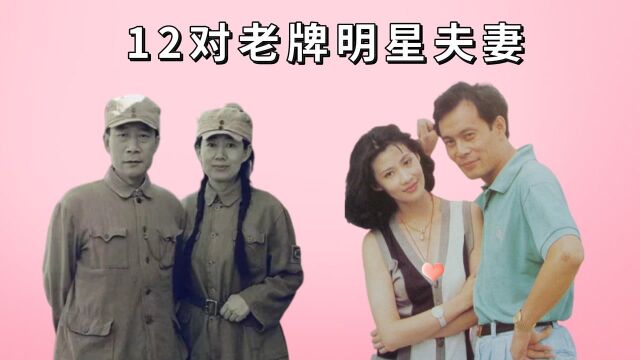 12对老牌明星夫妻,“潜伏”吴站长为妻12年不接戏,李雪健于海丹一见倾心到白头 #剧说经典#