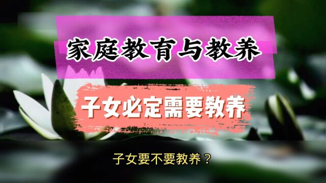 现代婚姻家庭教育与教养:子女必定需要教养爸妈育儿经国学经典传统文化