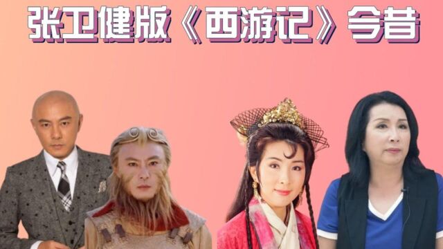 张卫健版《西游记》今昔,沙和尚胖到“脱相”,观世音才是隐藏的美人