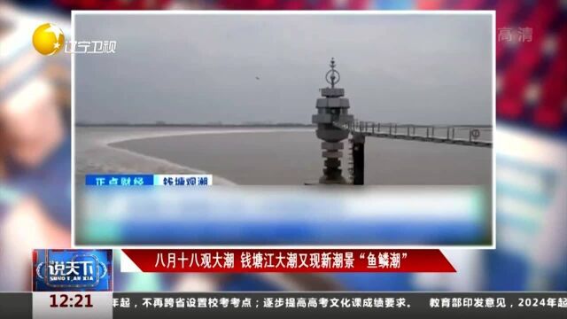 八月十八观大潮,钱塘江大潮又现新潮景“鱼鳞潮”