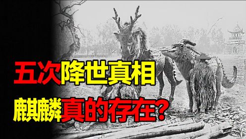 中国史上五次“麒麟降世”，麒麟真的存在？一张照片反转真相