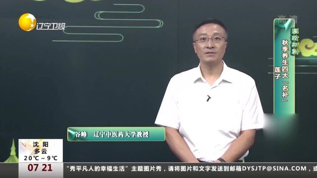 秋季养生四大【名补】:莲子