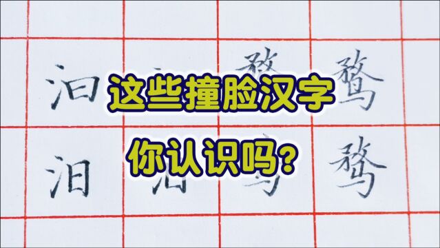 汉字也会撞脸,下面几个撞脸的汉字你都认识吗?又涨知识了