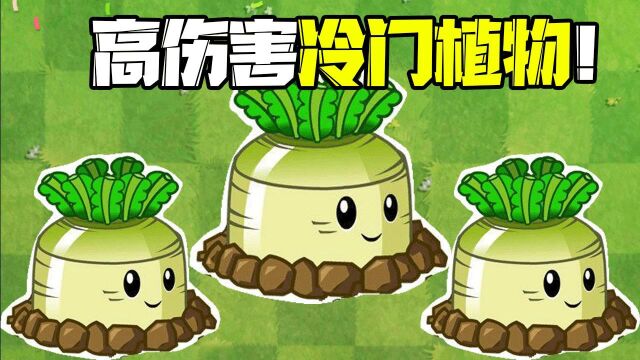 植物大战僵尸:高伤害冷门植物!导弹萝卜?