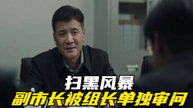 扫黑风暴:副市长被组长单独审问,刚开始还正气凛然,结果越来越没底气了