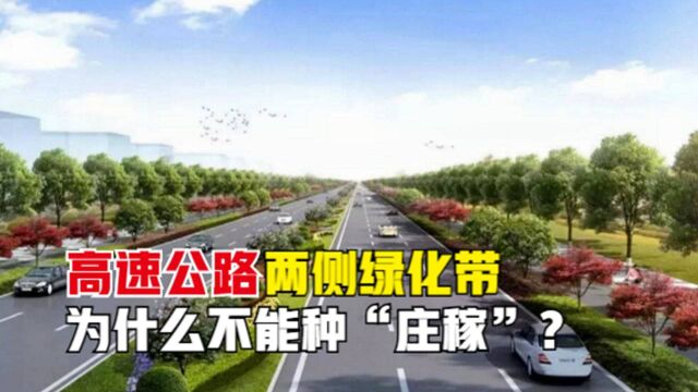 高速两旁30米内,为什么只能是绿化带?农作物岂不更有意义?