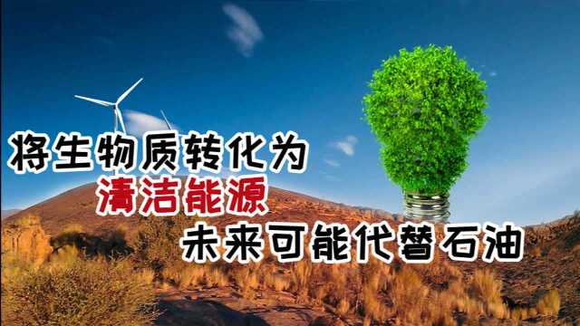 将生物质转化为原料,被称为清洁能源,未来可能代替石油