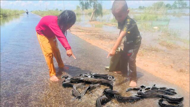 雨后,姐弟俩一起出来抓鱼,哇!好多鱼,看看他们抓获了多少?