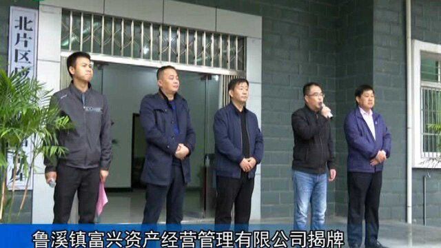 武宁县鲁溪镇富兴资产经营管理有限公司揭牌成立