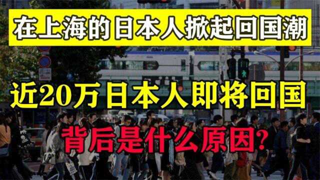 在上海定居的20万日本人,为何如今纷纷主动离开?原因很现实