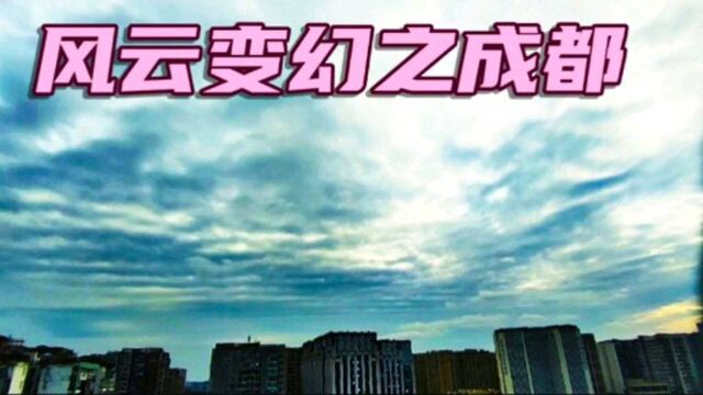 成都最近的天气气死人,每天阴雨绵绵,成都的金秋呢?