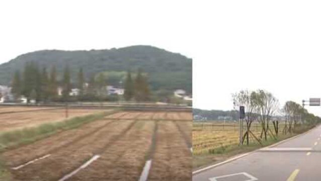 长沙县改造修建13条农村公路,畅通乡村助振兴,解决“出行难”