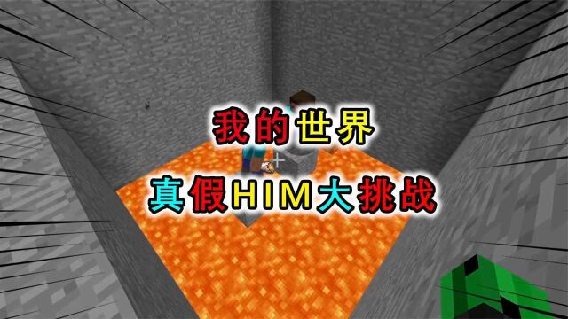 我的世界:危!HIM失踪了!玩家拯救过程遇真假HIM大挑战!