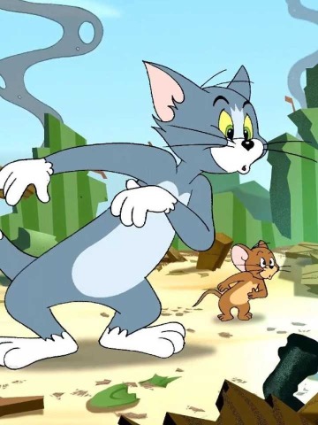 猫捉老鼠游戏介绍视频