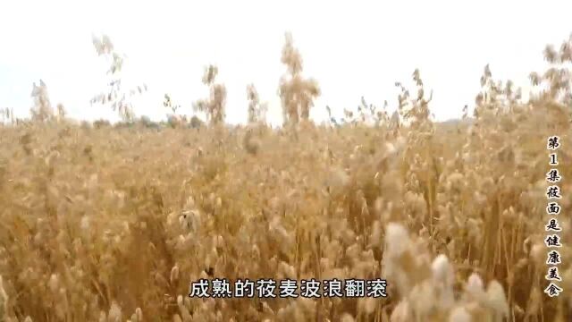 莜面一种普通的食物,为什么好多人会吃到撑?缘由可能你想不到